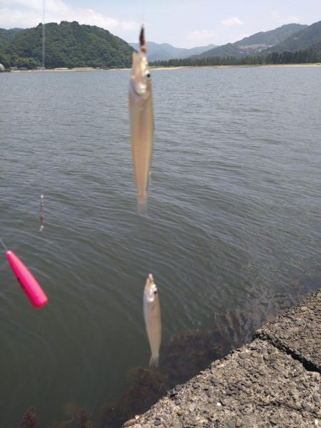 キス狙いでまさかのグレ